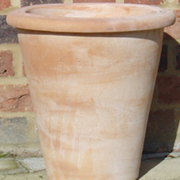 Italian Terracotta Camelia Pot