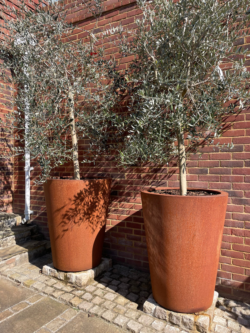 Large Corten Steel Planters