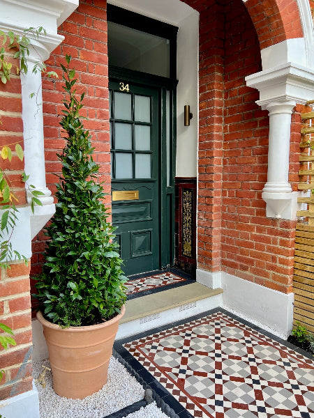 Triangle Bay Tree in Terracotta Pot London Home