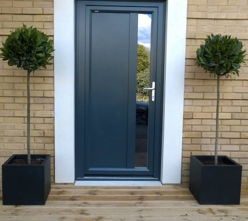 Bay Trees in Black polystone cubes by doorway