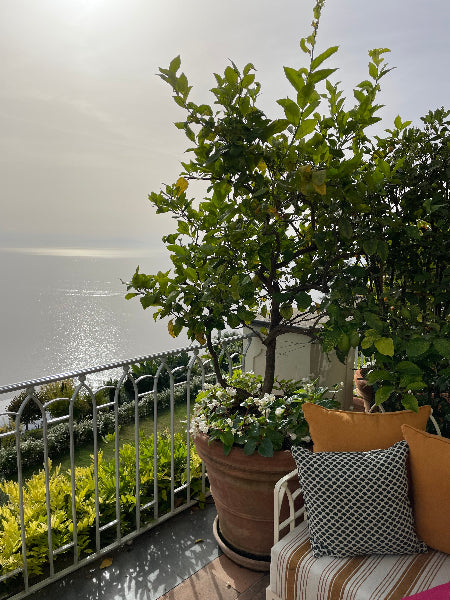 Italian Terracotta Pot overlooking sea