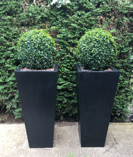 Black tapered planter resin stone polystone with buxus