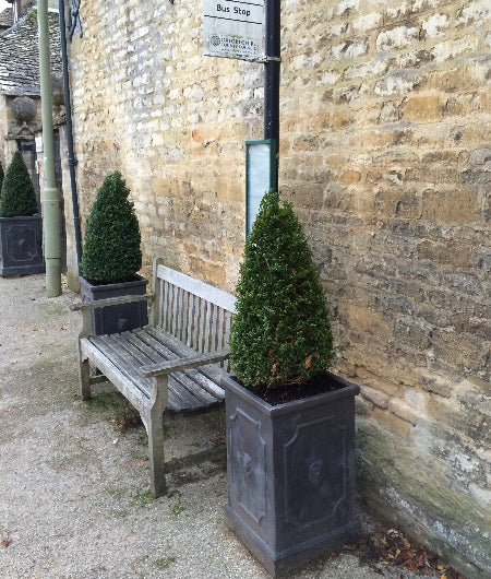 Pyramid Box in tall lionhead planters