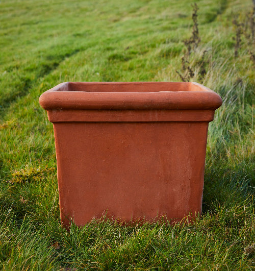 Bay Tree Square terracotta pot in field