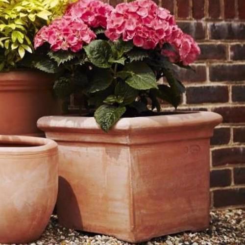 Terracotta Terracini Pots