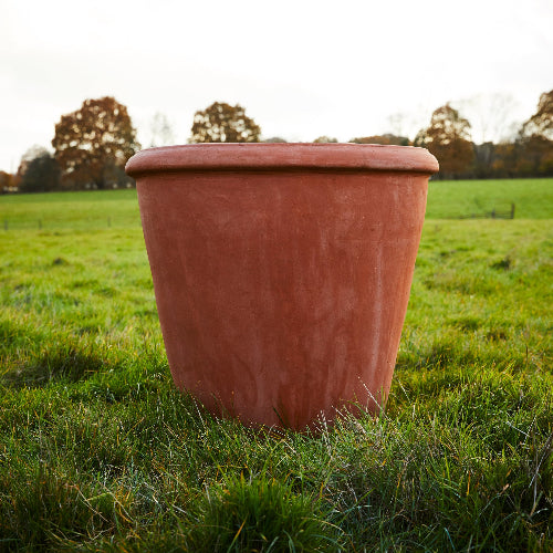 Terracini Camelia Terracotta Pot in Field