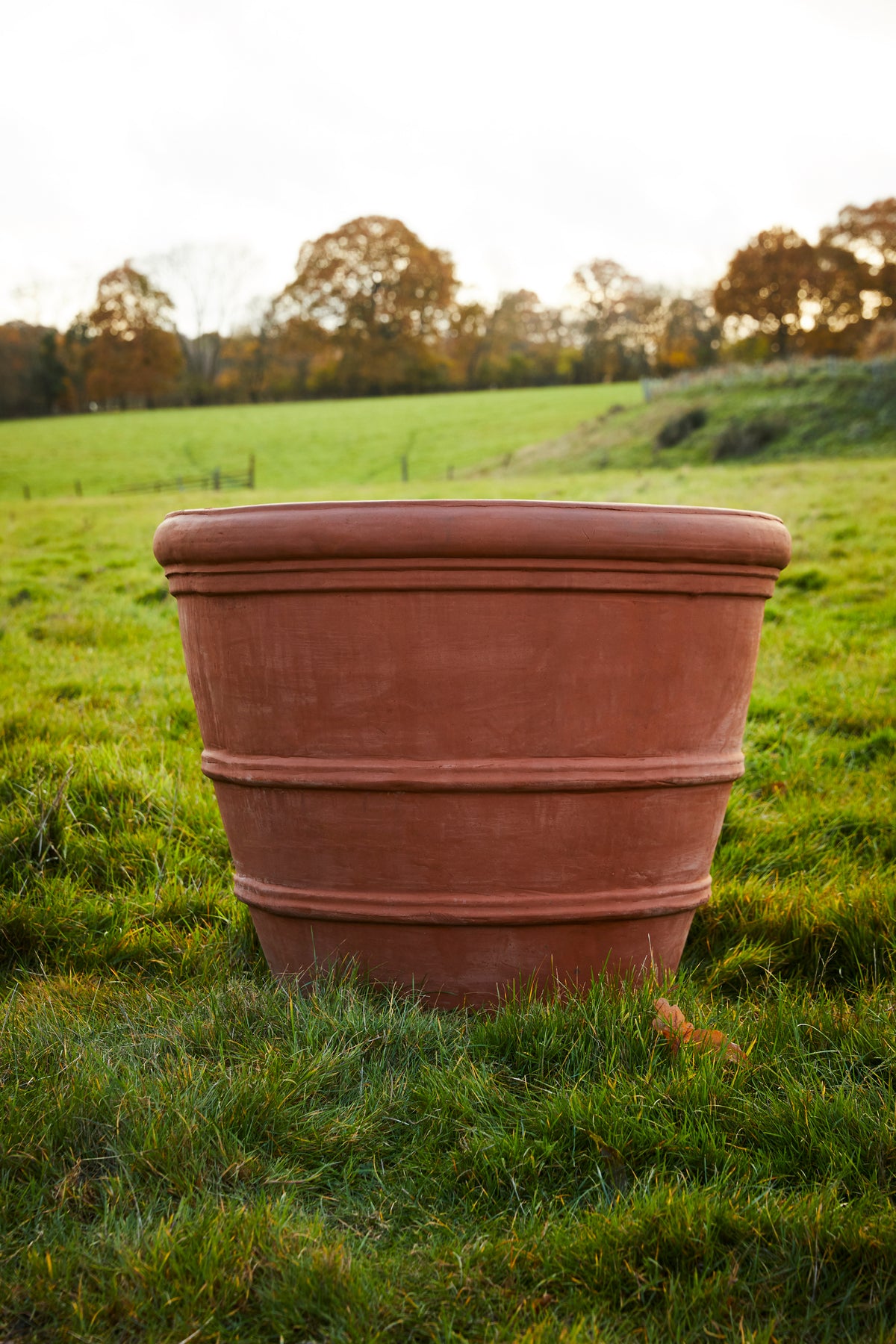 Terracotta Pot in Setting Sun