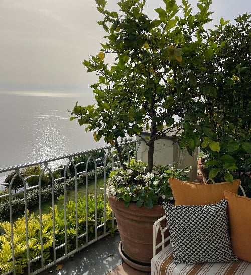 Terracotta Pot In Italy