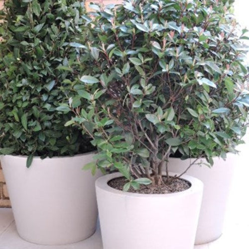 Resin stone polystone fibrestone planter pot