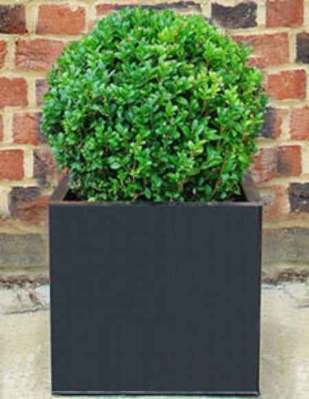 Box ball in Black Polystone Modern Cube