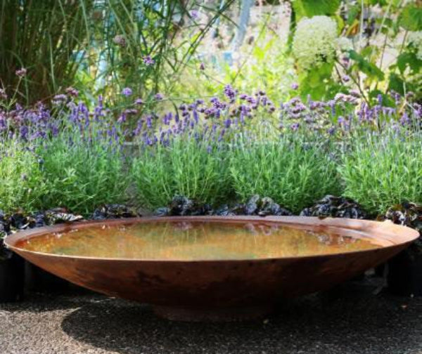 Corten Water Bowl with Lavender