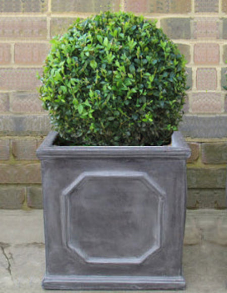 Box Ball in Faux Lead Planter