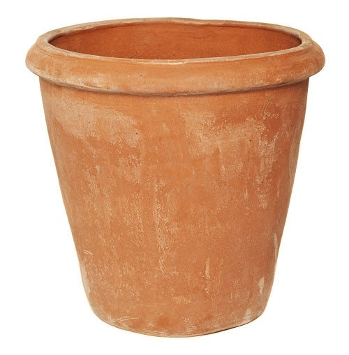 Terracotta Camelia Pot