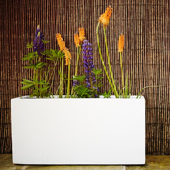 Window Boxes & Troughs – Terrace Gardener