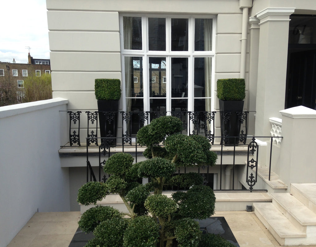 Terrace Shape Lovely Shapes – Terrace Gardener