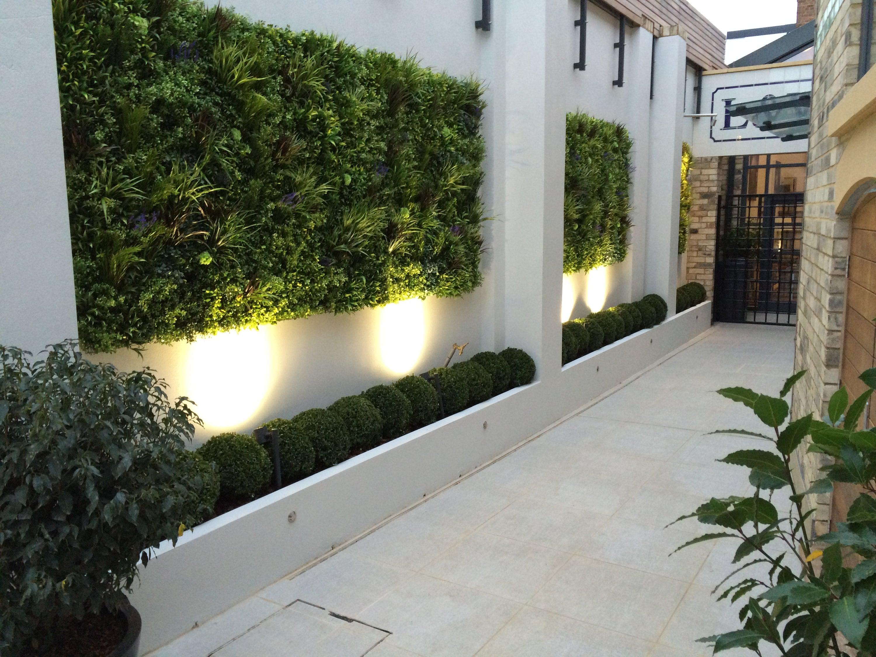 Alley after planting best