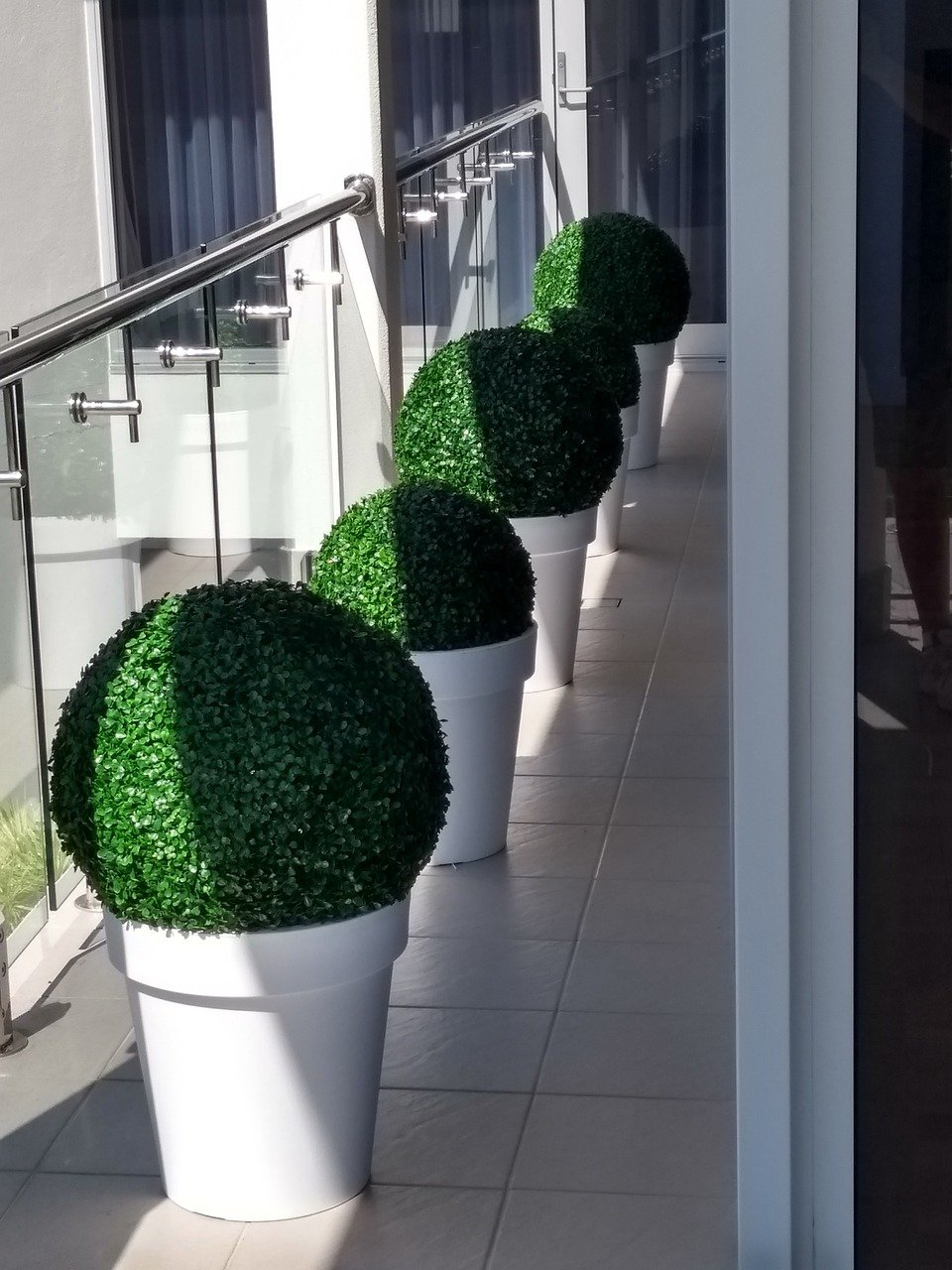Topiary Balls on Balcony