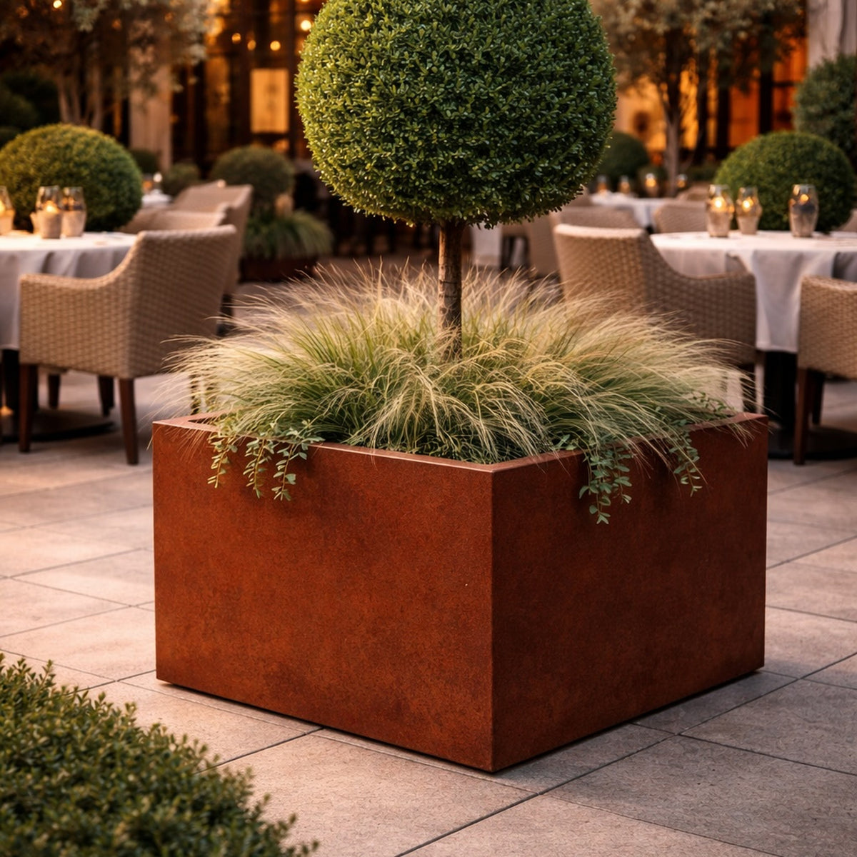 Restaurant terrace featuring a corten steel cube planter with sculpted topiary tree, contemporary outdoor hospitality design