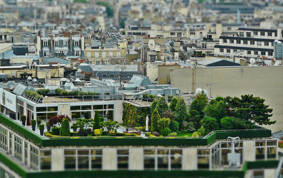 Beautiful Roof Garden