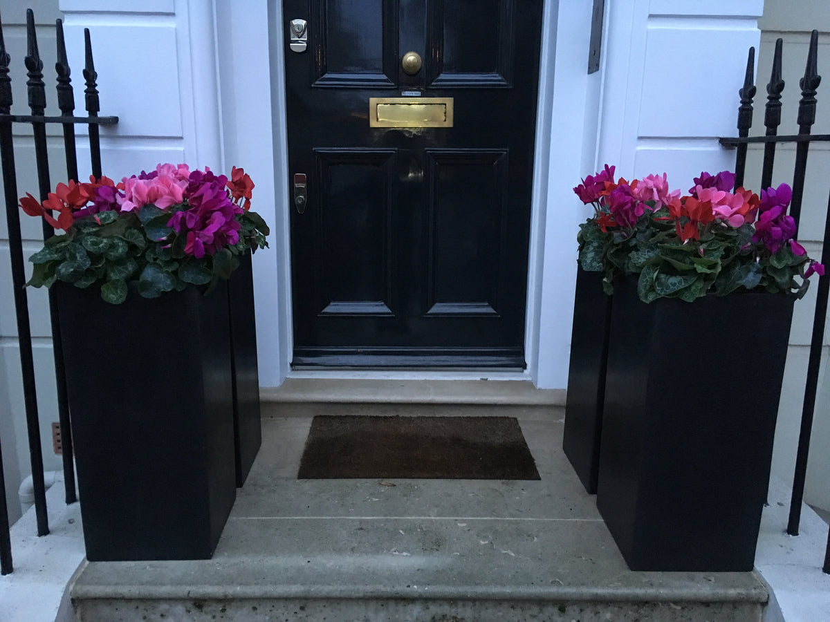 London Doorway with high planters
