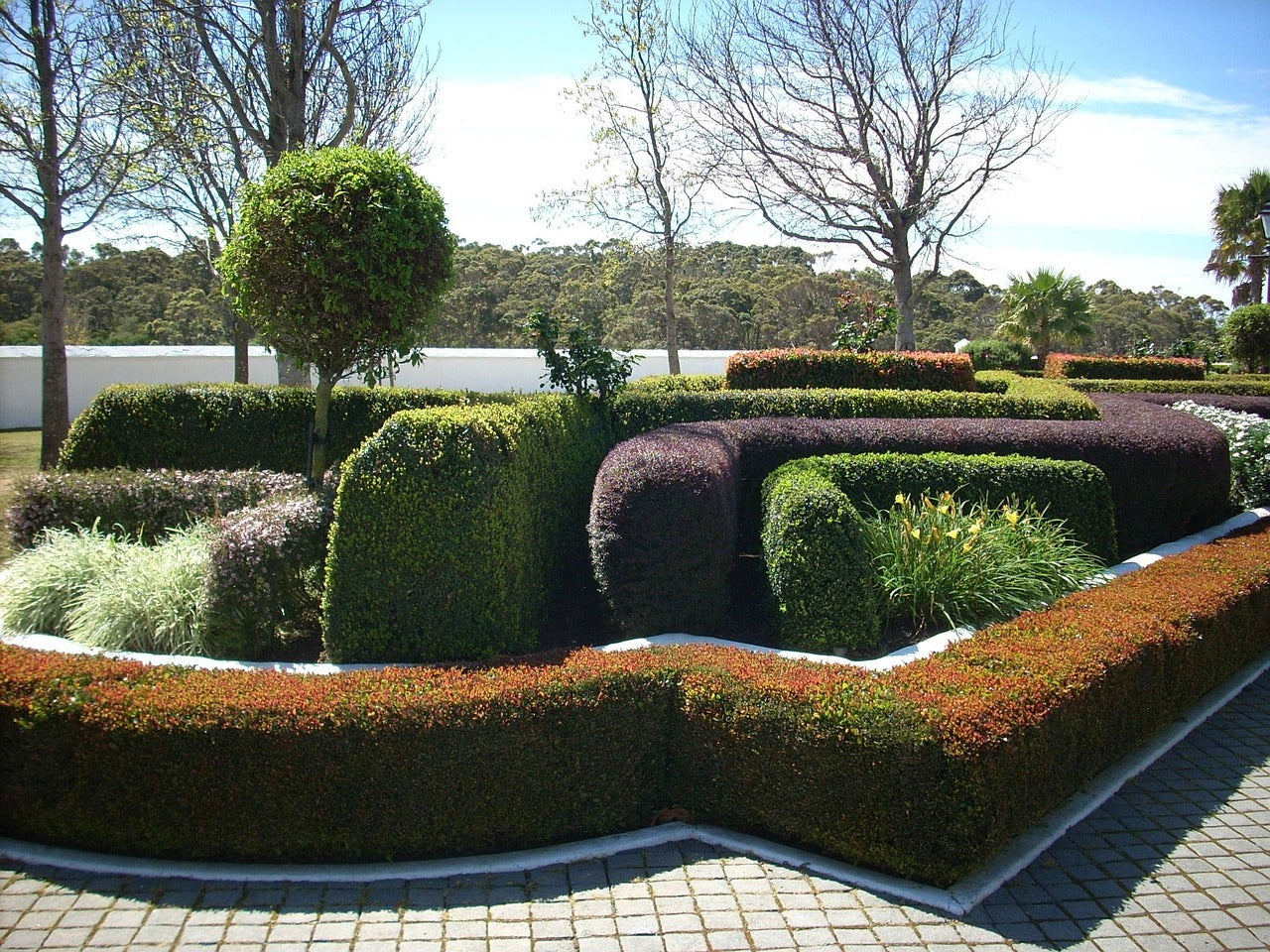 Topiary Garden of different colours