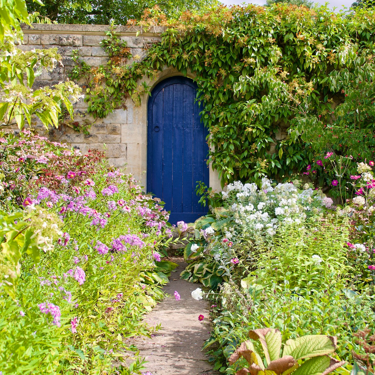 Lovely blue Garden door walled garden