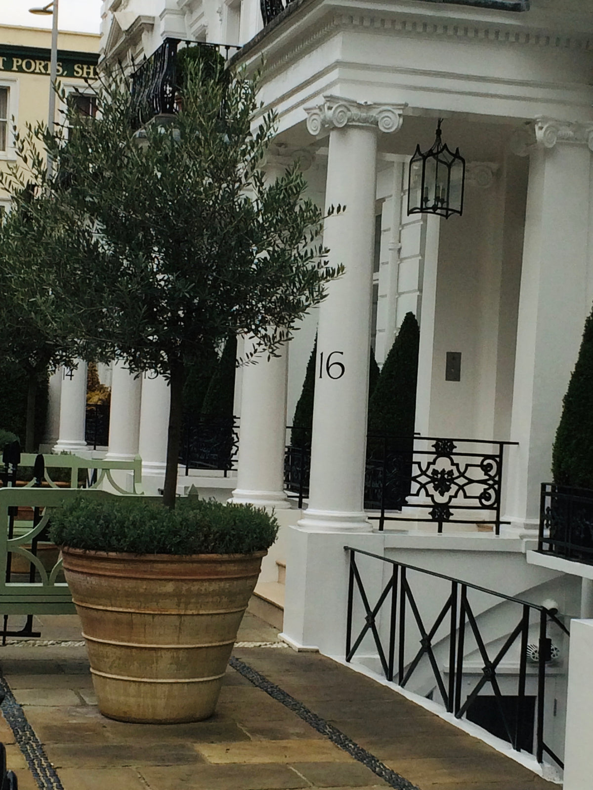 Olive Tree in Large Terracotta Pot London House