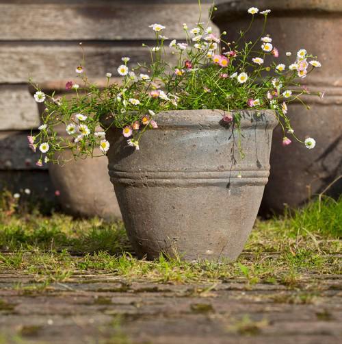 Stone like clay planter