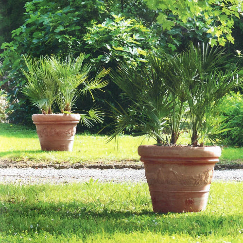 Terracotta Pots with design on side