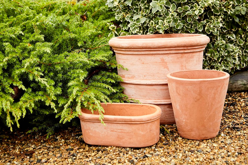Terracini Terracotta Pots Various