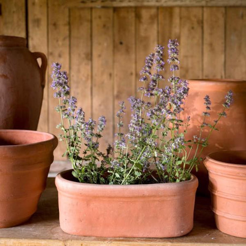Terracotta Oval Trough