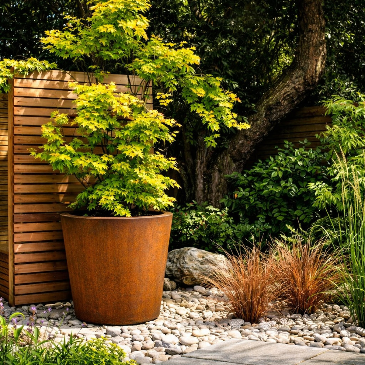 Corten steel tapered planter with Japanese maple tree in landscaped garden, modern rusted steel planter design