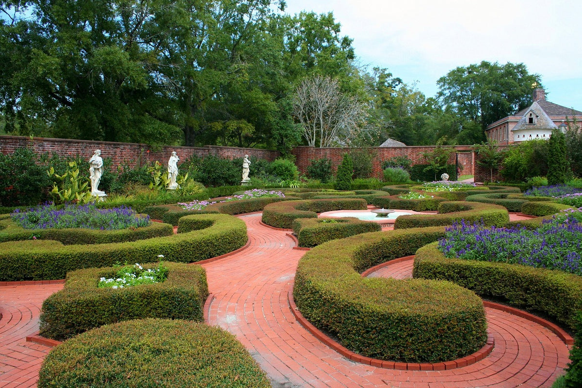 Lovely Garden paths surrounded by box
