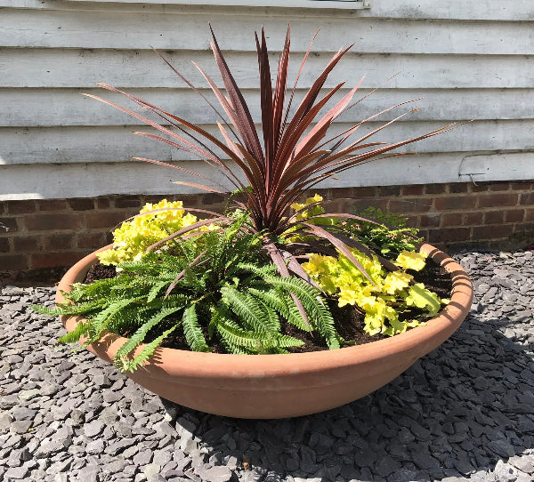 Terracotta Planting Bowl
