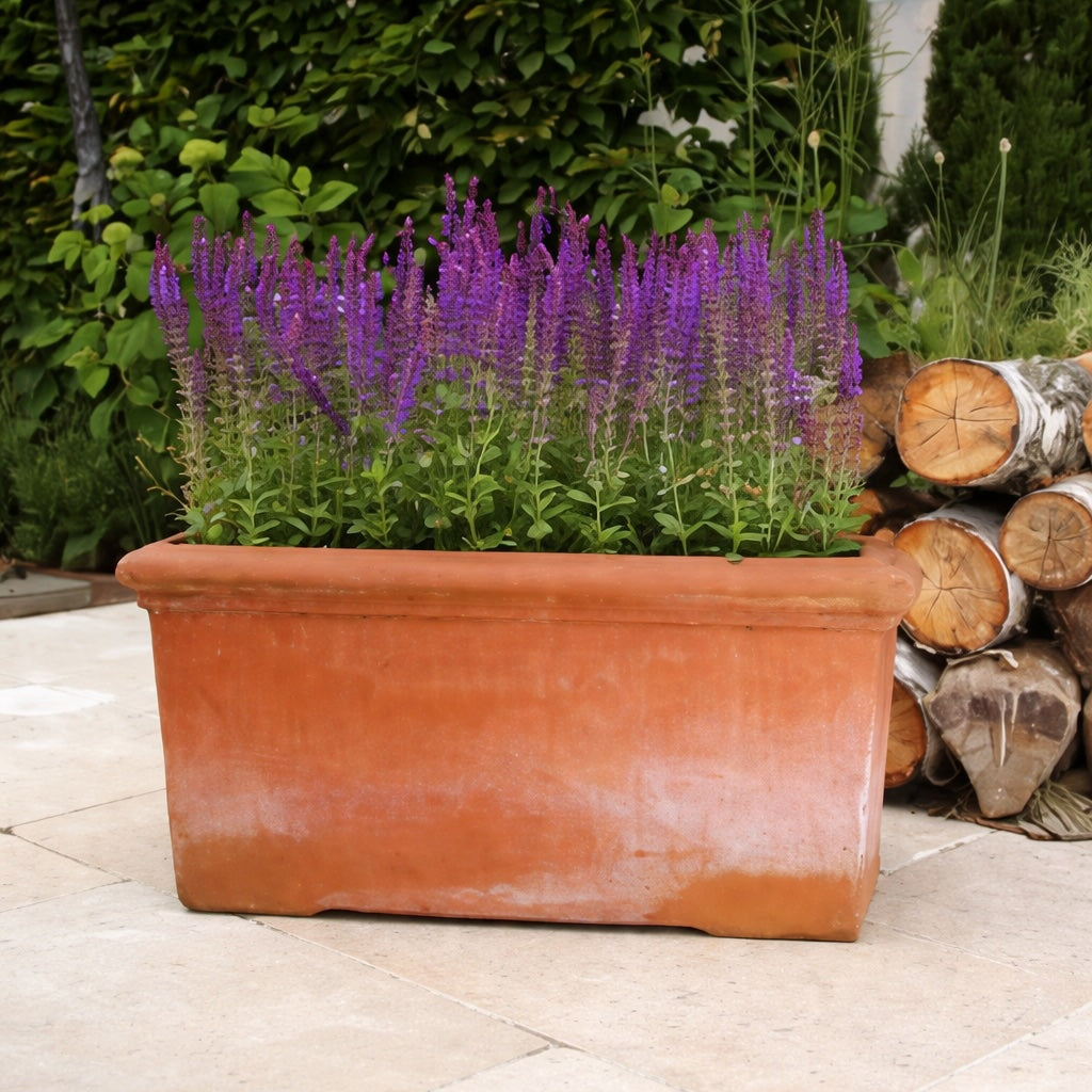 Luxury Italian-style terracotta rectangular planter planted with purple salvia in a high-end UK garden setting