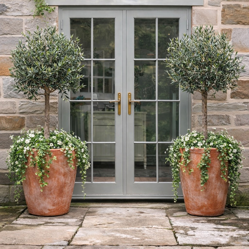 Luxury terracotta Long Tom planters with olive trees flanking a contemporary glass garden entrance in the UK