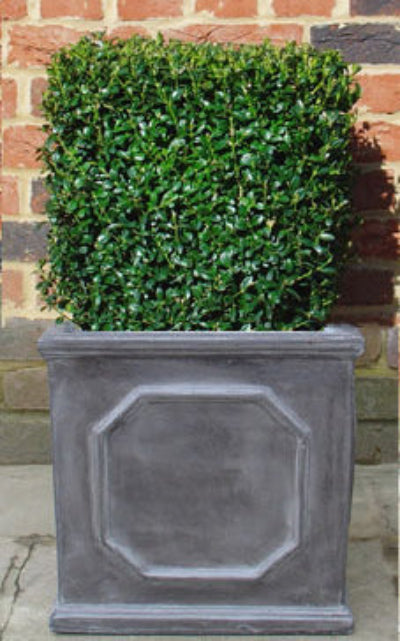 Box Cube in Faux Lead Planter
