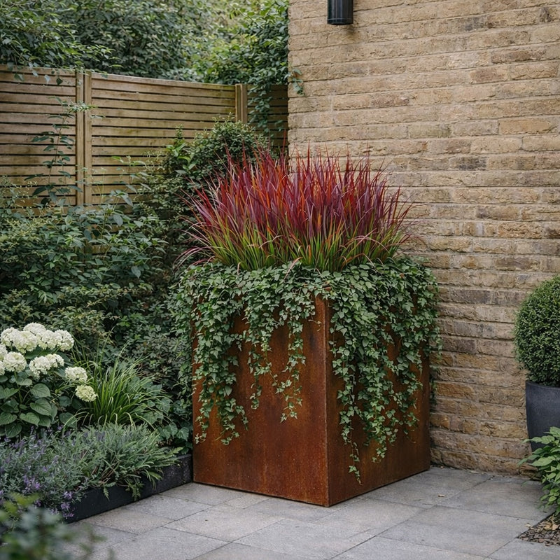 Corten steel tall box planter with ornamental grasses and ivy on a contemporary garden terrace