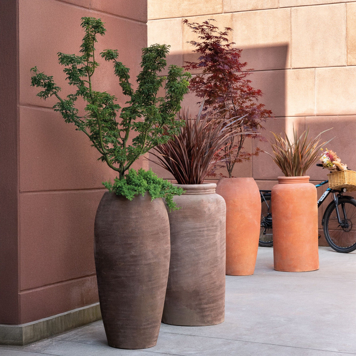 Large terracotta planters with modern outdoor plants against a neutral wall