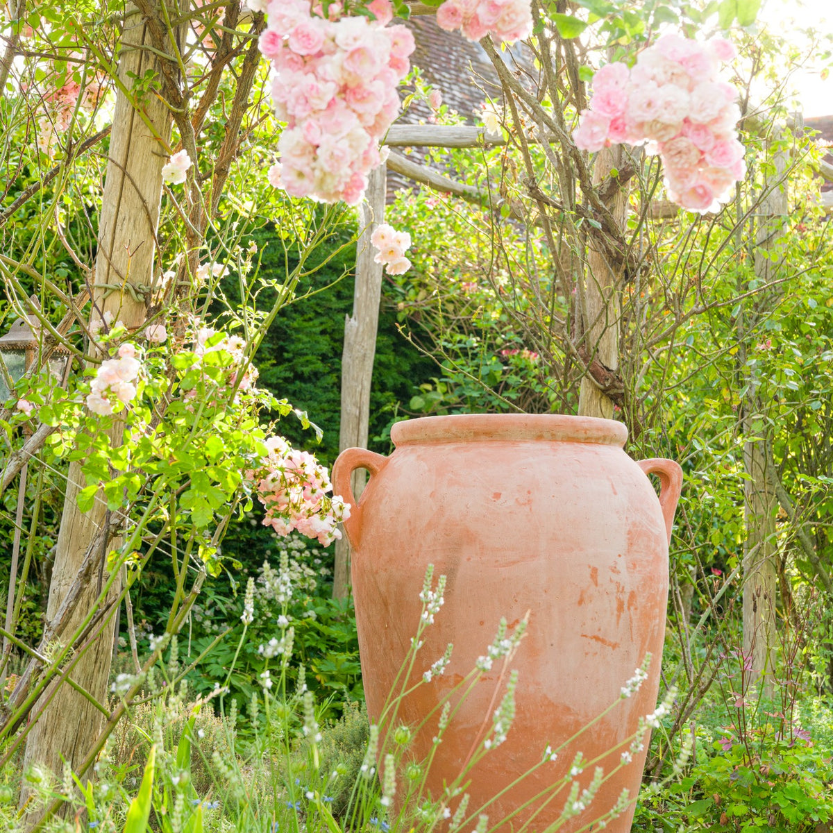 Large terracotta olive jar planter in rose garden setting – Mediterranean style garden pot for luxury UK gardens