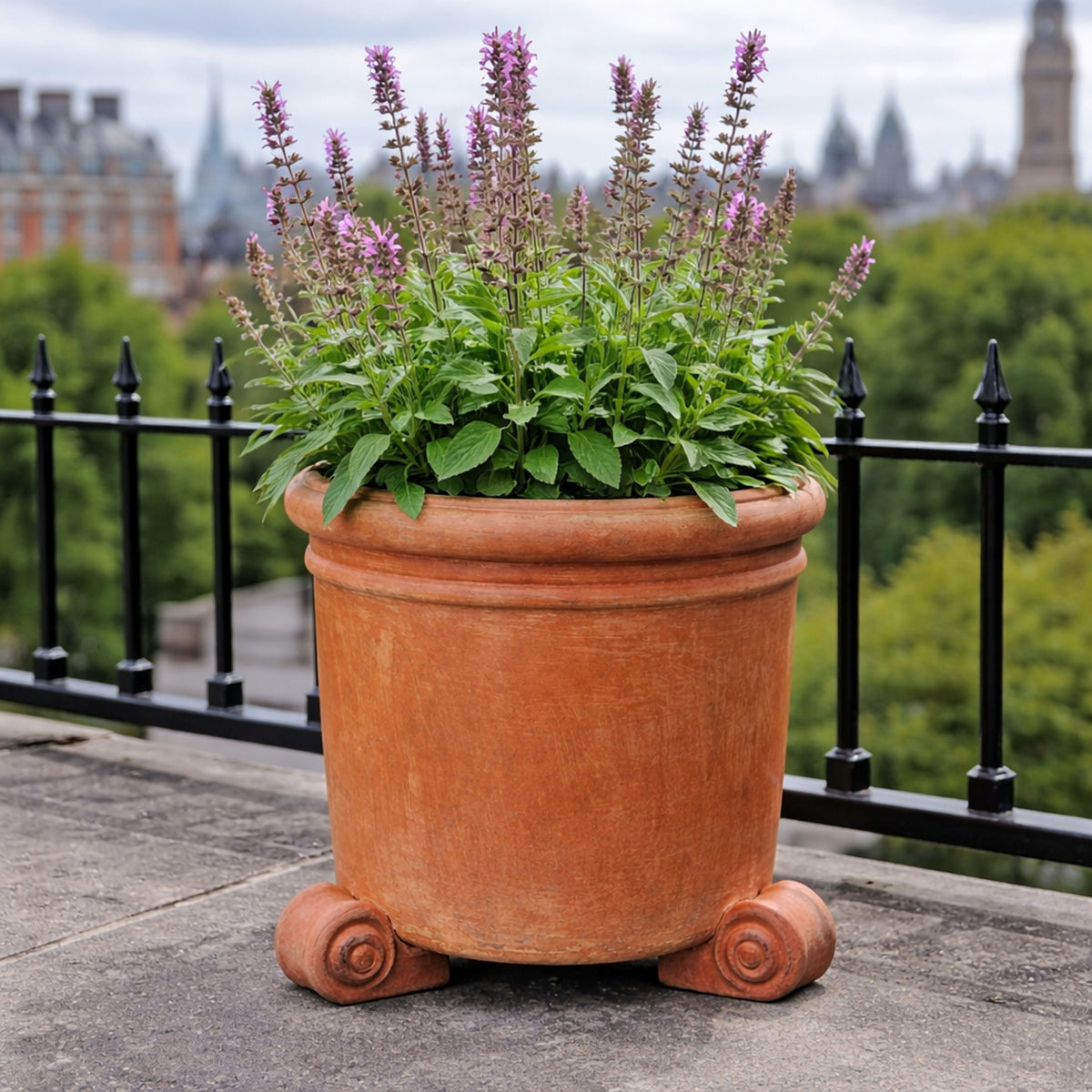 Terracotta planter with pot feet on london balcony