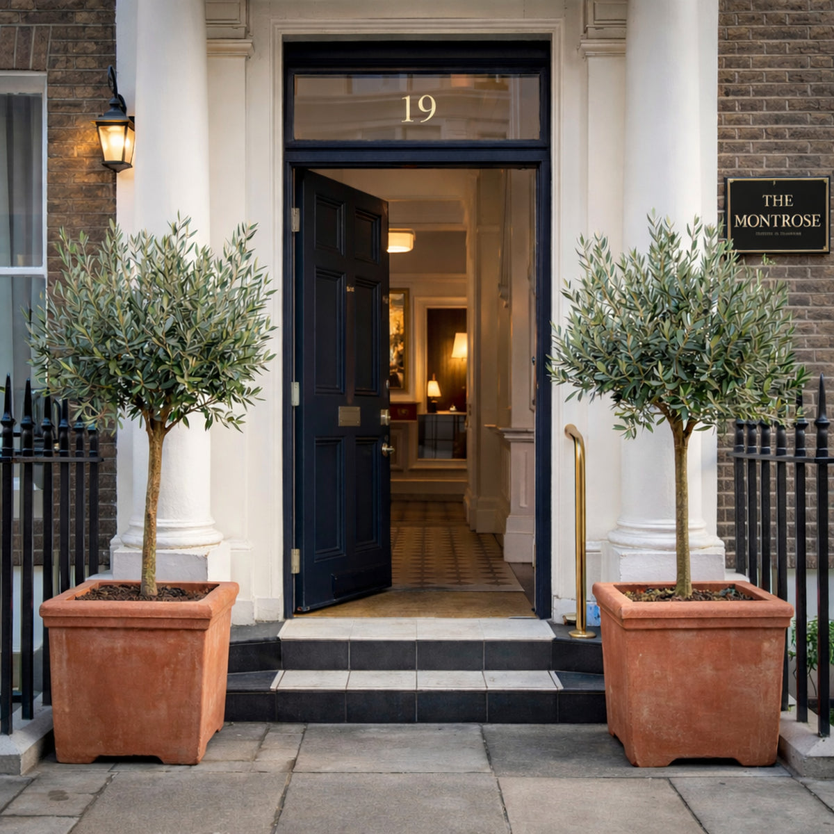 Large terracotta square planters with olive trees at boutique London hotel entrance – elegant outdoor pots for hospitality and residential design
